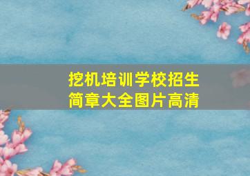 挖机培训学校招生简章大全图片高清