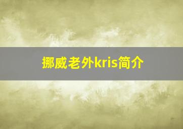 挪威老外kris简介