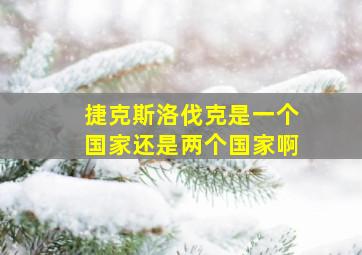 捷克斯洛伐克是一个国家还是两个国家啊