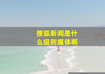 搜狐新闻是什么级别媒体啊