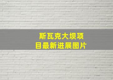 斯瓦克大坝项目最新进展图片