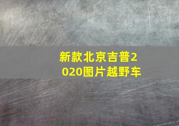 新款北京吉普2020图片越野车