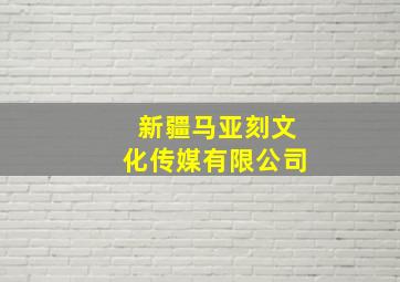 新疆马亚刻文化传媒有限公司