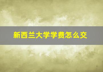 新西兰大学学费怎么交