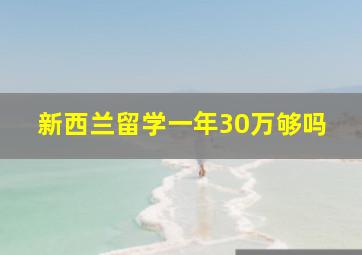 新西兰留学一年30万够吗