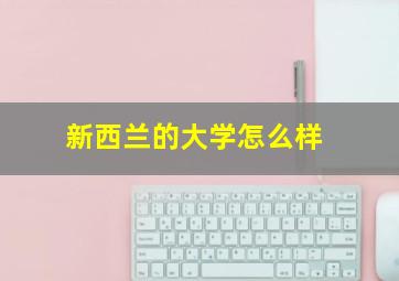 新西兰的大学怎么样