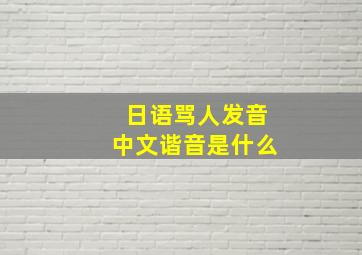 日语骂人发音中文谐音是什么