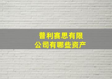 普利赛思有限公司有哪些资产