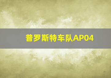 普罗斯特车队AP04