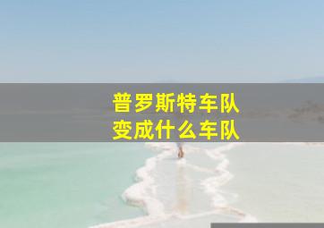 普罗斯特车队变成什么车队