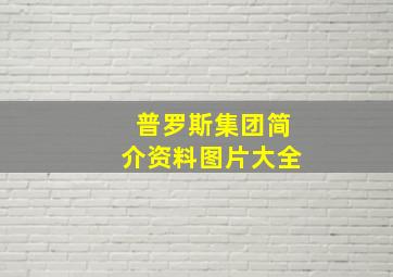 普罗斯集团简介资料图片大全