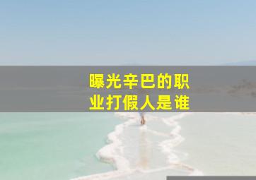 曝光辛巴的职业打假人是谁