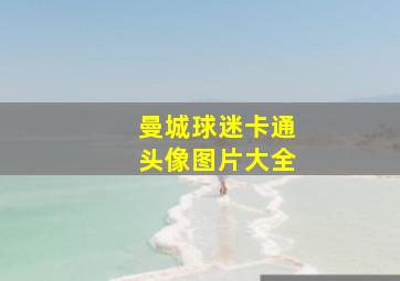 曼城球迷卡通头像图片大全