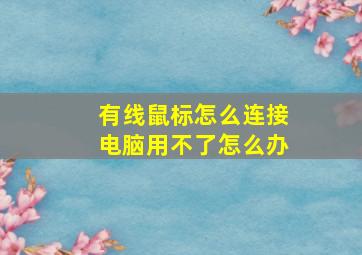 有线鼠标怎么连接电脑用不了怎么办