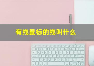 有线鼠标的线叫什么