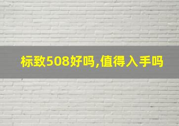 标致508好吗,值得入手吗