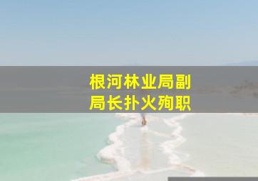 根河林业局副局长扑火殉职