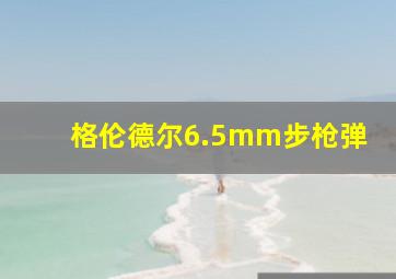 格伦德尔6.5mm步枪弹