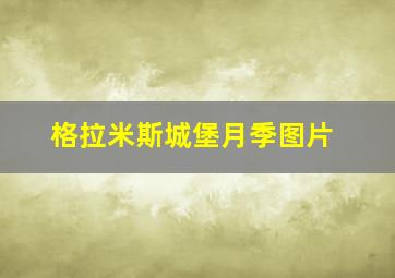 格拉米斯城堡月季图片