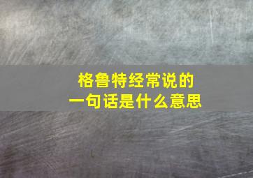 格鲁特经常说的一句话是什么意思