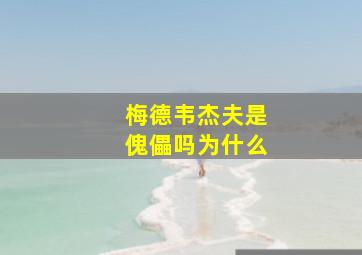 梅德韦杰夫是傀儡吗为什么