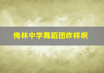 梅林中学舞蹈团咋样啊