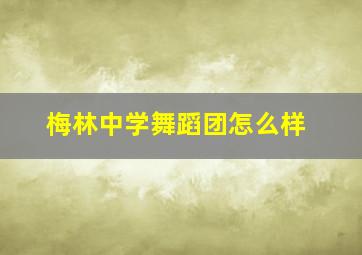 梅林中学舞蹈团怎么样