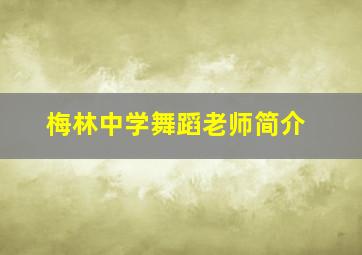 梅林中学舞蹈老师简介