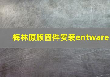 梅林原版固件安装entware