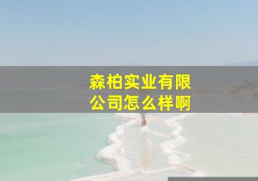 森柏实业有限公司怎么样啊