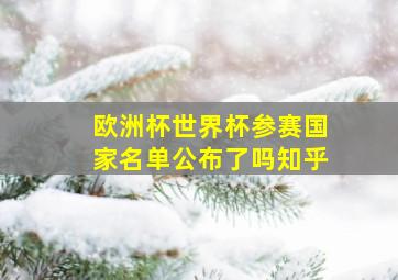 欧洲杯世界杯参赛国家名单公布了吗知乎