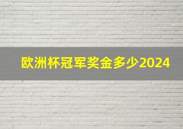 欧洲杯冠军奖金多少2024