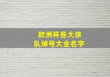 欧洲杯各大球队绰号大全名字