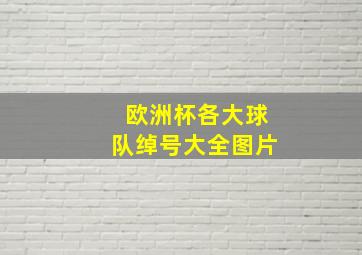 欧洲杯各大球队绰号大全图片