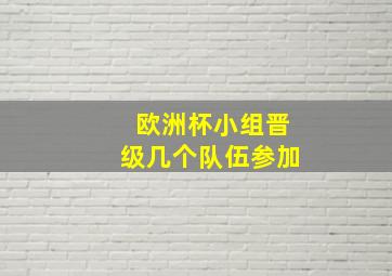 欧洲杯小组晋级几个队伍参加