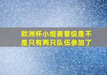 欧洲杯小组赛晋级是不是只有两只队伍参加了