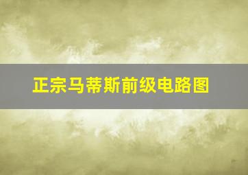 正宗马蒂斯前级电路图