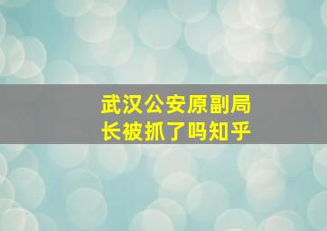 武汉公安原副局长被抓了吗知乎