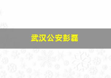 武汉公安彭磊