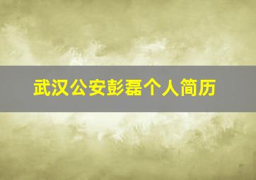 武汉公安彭磊个人简历