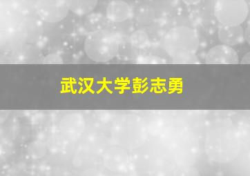 武汉大学彭志勇