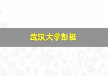 武汉大学彭挺