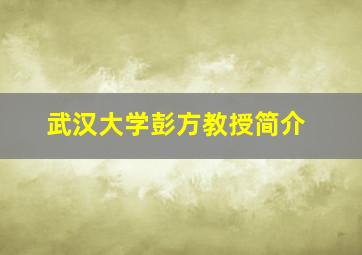 武汉大学彭方教授简介