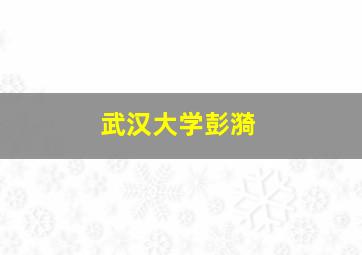 武汉大学彭漪