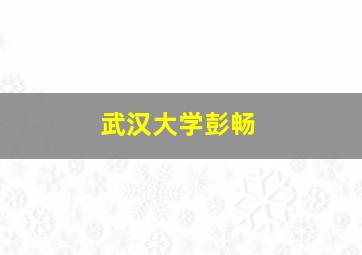 武汉大学彭畅