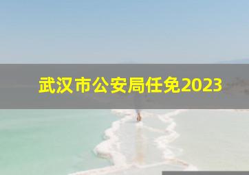 武汉市公安局任免2023