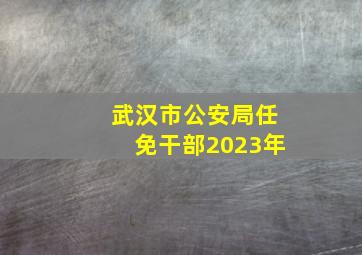 武汉市公安局任免干部2023年