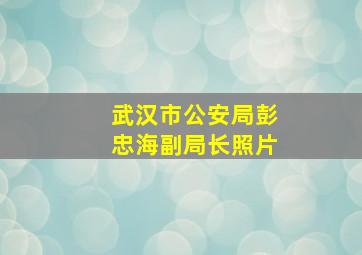 武汉市公安局彭忠海副局长照片