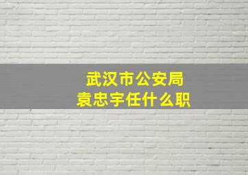 武汉市公安局袁忠宇任什么职