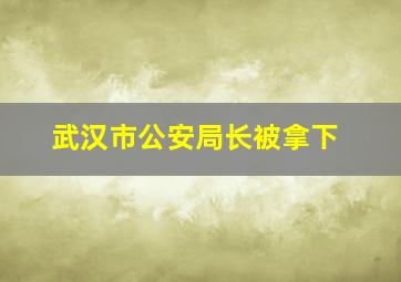 武汉市公安局长被拿下